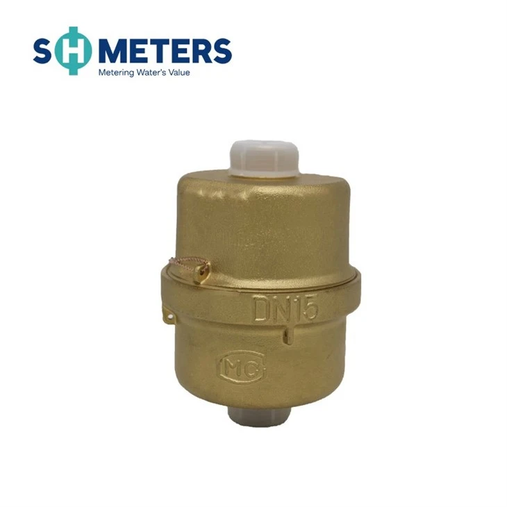 Volumetric Rotary Piston Water Meter R200 For Municipal