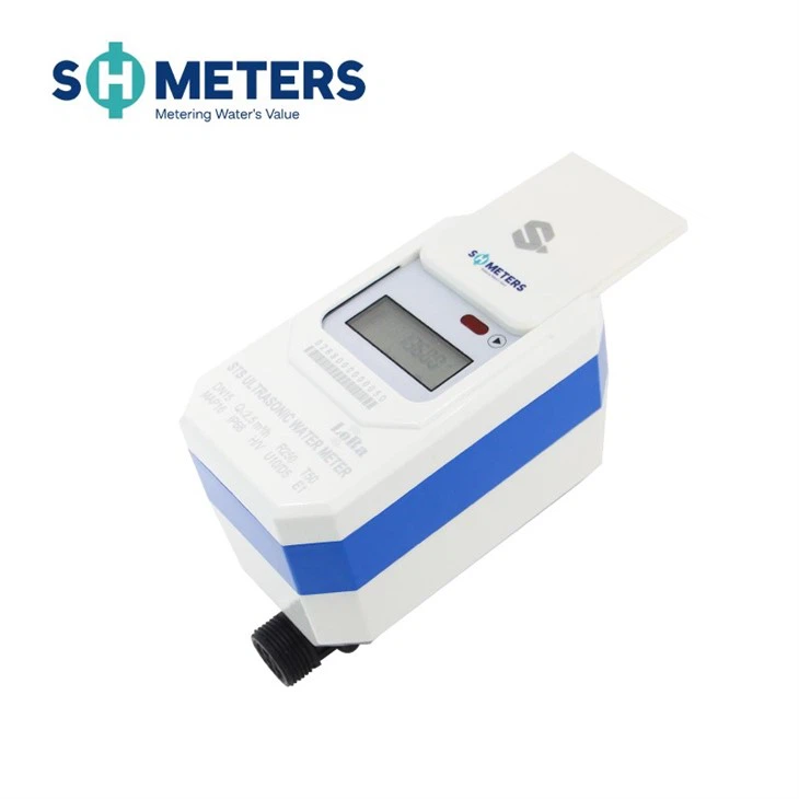 R250/R400 STS Ultrasonic Water Meter For Residential suppliers